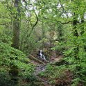 16. Magický les Brocéliande, který je zahalen nejen artušovskými legendami